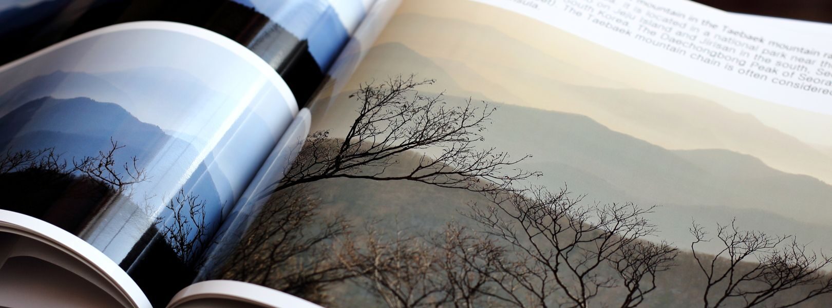 livres pour apprendre la photographie