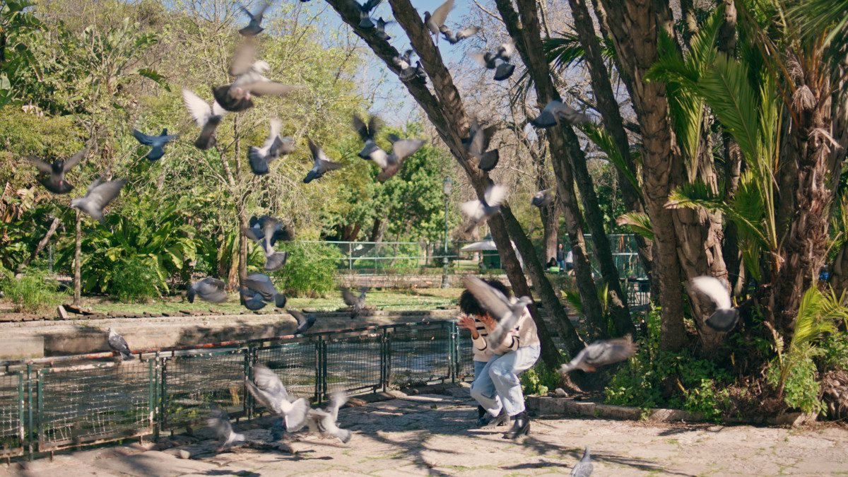 éloigner pigeons