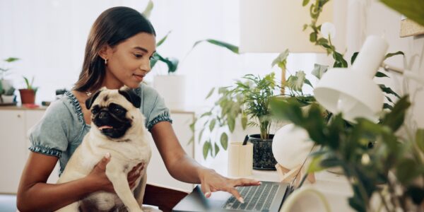 Dog, research and laptop with woman in home office for social media, communication and pet adoption