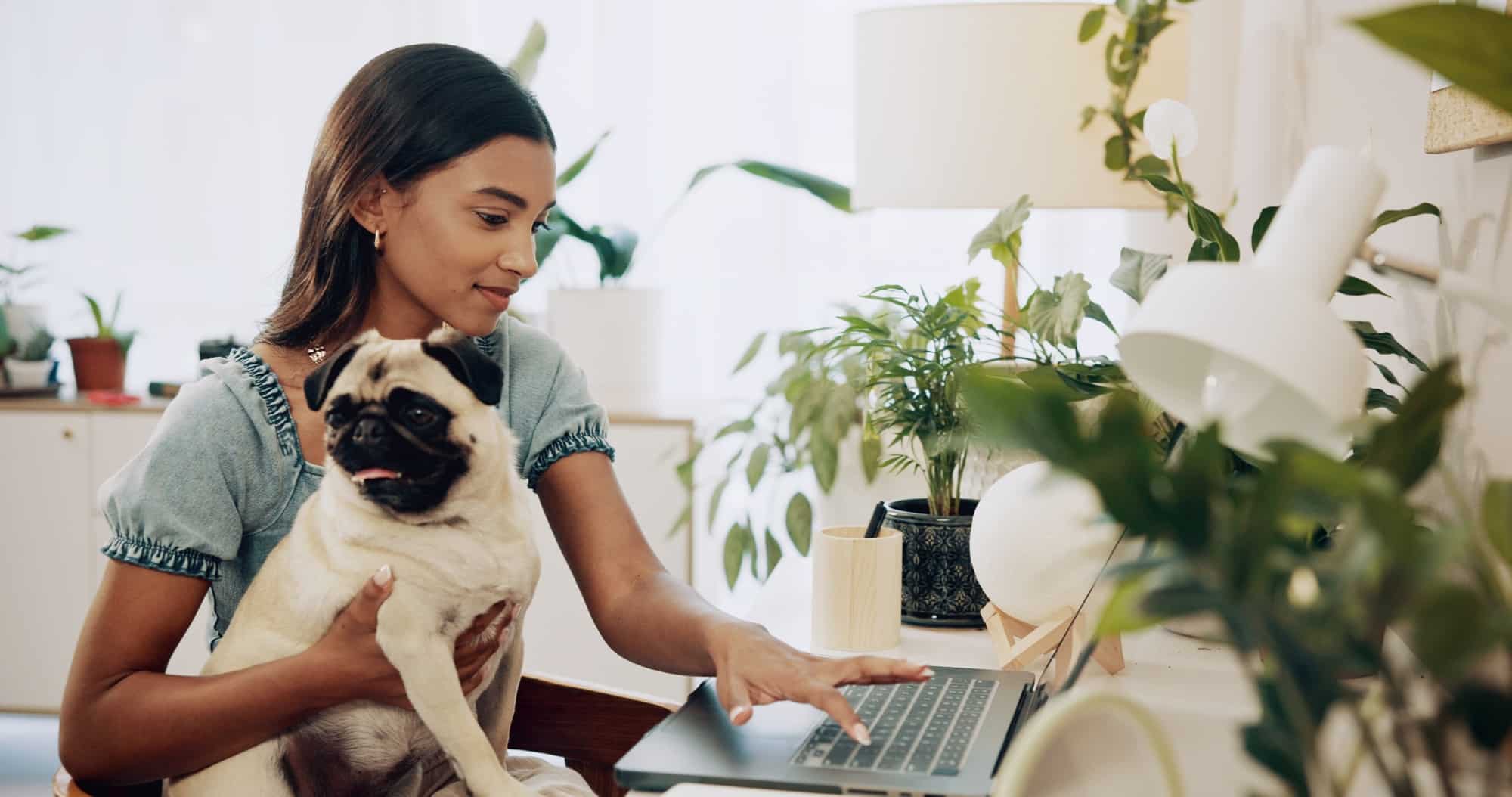 Dog, research and laptop with woman in home office for social media, communication and pet adoption