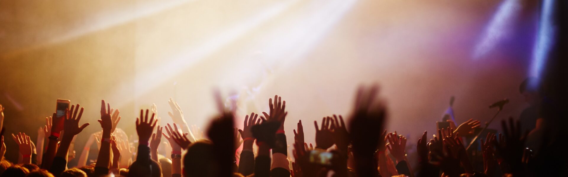 Popular singer concert