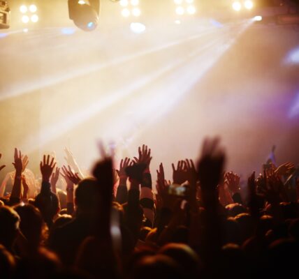 Popular singer concert