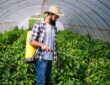 Young farmer protecting his plants with chemicals