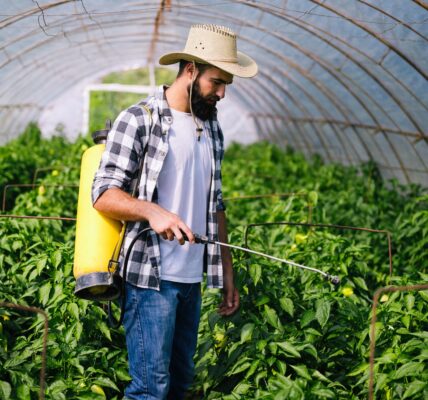 Young farmer protecting his plants with chemicals