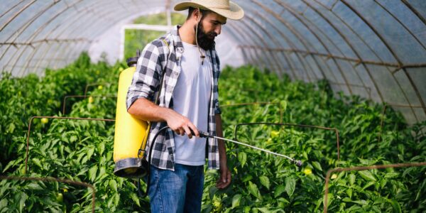 Young farmer protecting his plants with chemicals