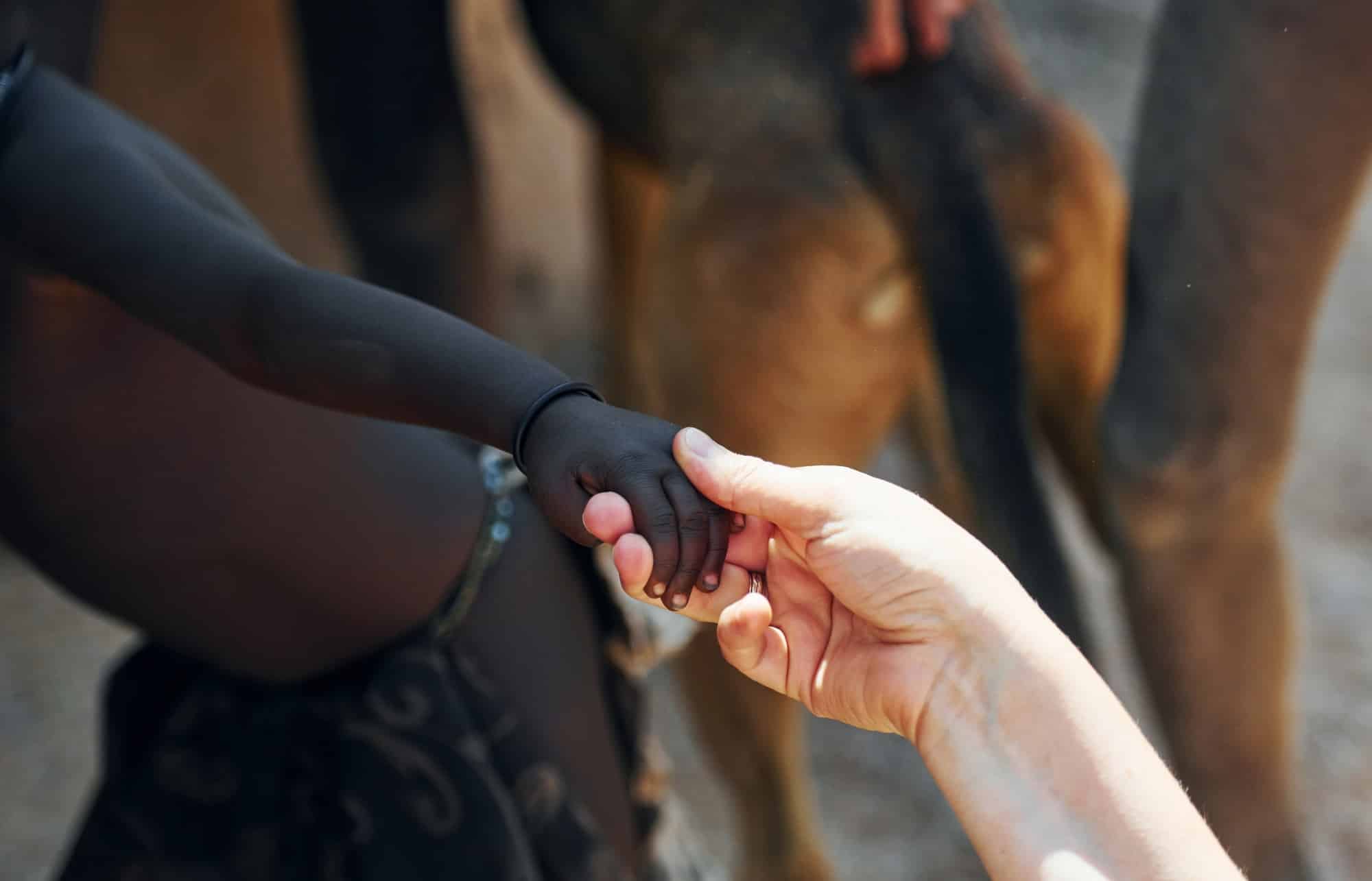 Immersion cultures namibiens