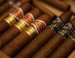 concurrent cigare