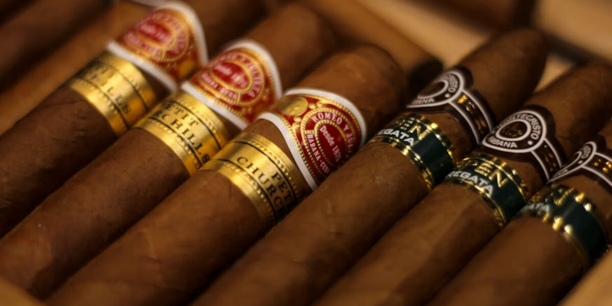 concurrent cigare