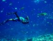 Sharm el Sheikh