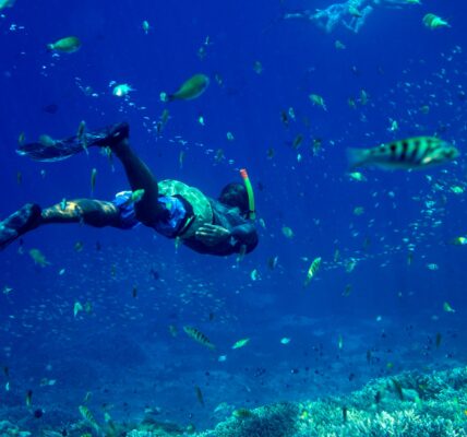 Sharm el Sheikh