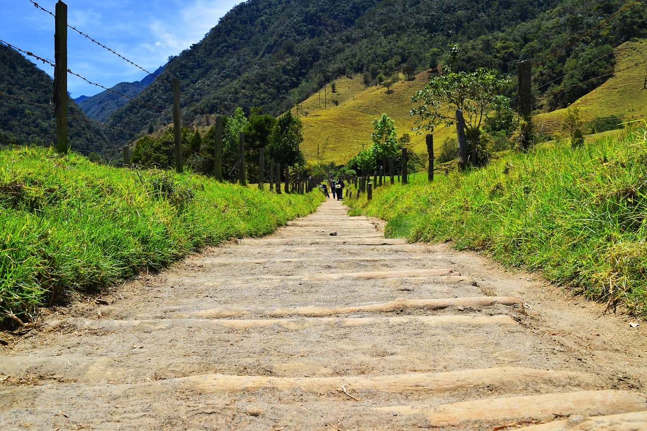 vallée de Cocora