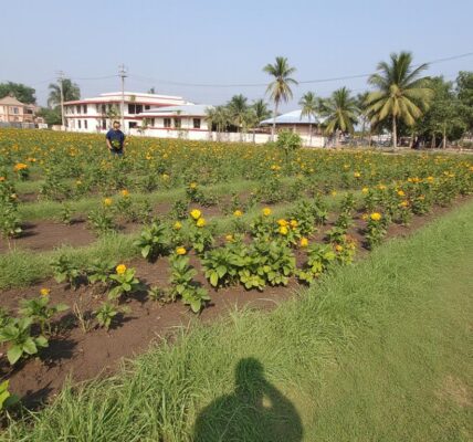 découvrez le top 10 des meilleures agences sea et tout ce que vous devez savoir pour choisir l'expert adapté à vos campagnes publicitaires en ligne.