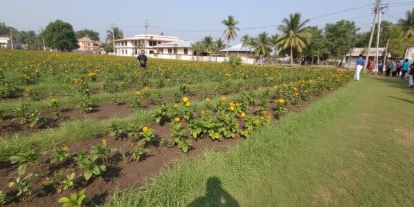 découvrez le top 10 des meilleures agences sea et tout ce que vous devez savoir pour choisir l'expert adapté à vos campagnes publicitaires en ligne.