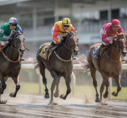 consultez les arrivées du tiercé d'aujourd'hui et suivez en direct les résultats pour ne rien manquer des performances des chevaux.