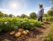 découvrez comment la patate anticyclonique peut influencer la météo et ce que tout jardinier doit savoir pour optimiser sa culture et protéger son jardin.
