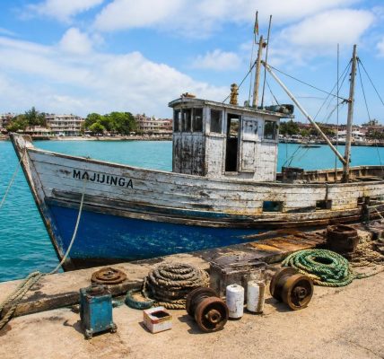 découvrez nos bateaux à vendre à majunga avec un état réel garanti et un approvisionnement fiable en pièces détachées pour assurer leur entretien et maintenance.