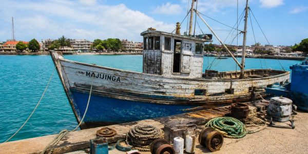 découvrez nos bateaux à vendre à majunga avec un état réel garanti et un approvisionnement fiable en pièces détachées pour assurer leur entretien et maintenance.