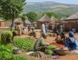 découvrez la définition complète de la kafrine et son impact local. comprenez son importance et ses effets dans votre région grâce à notre guide détaillé.