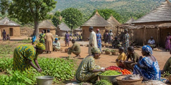 découvrez la définition complète de la kafrine et son impact local. comprenez son importance et ses effets dans votre région grâce à notre guide détaillé.